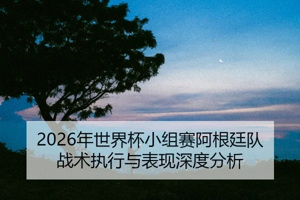 nian-shi-jie-bei-xiao-zu-sai-a-gen-ting-dui-zhan-shu-zhi-xing-yu-biao-xian-shen-du-fen-xi-2-155.jpg